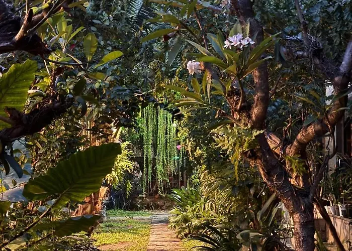 Hotel Kundalini Shakta Yoga Meditasi Dempassar